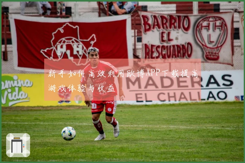 新手如何高效利用欧博APP下载提高游戏体验与收益